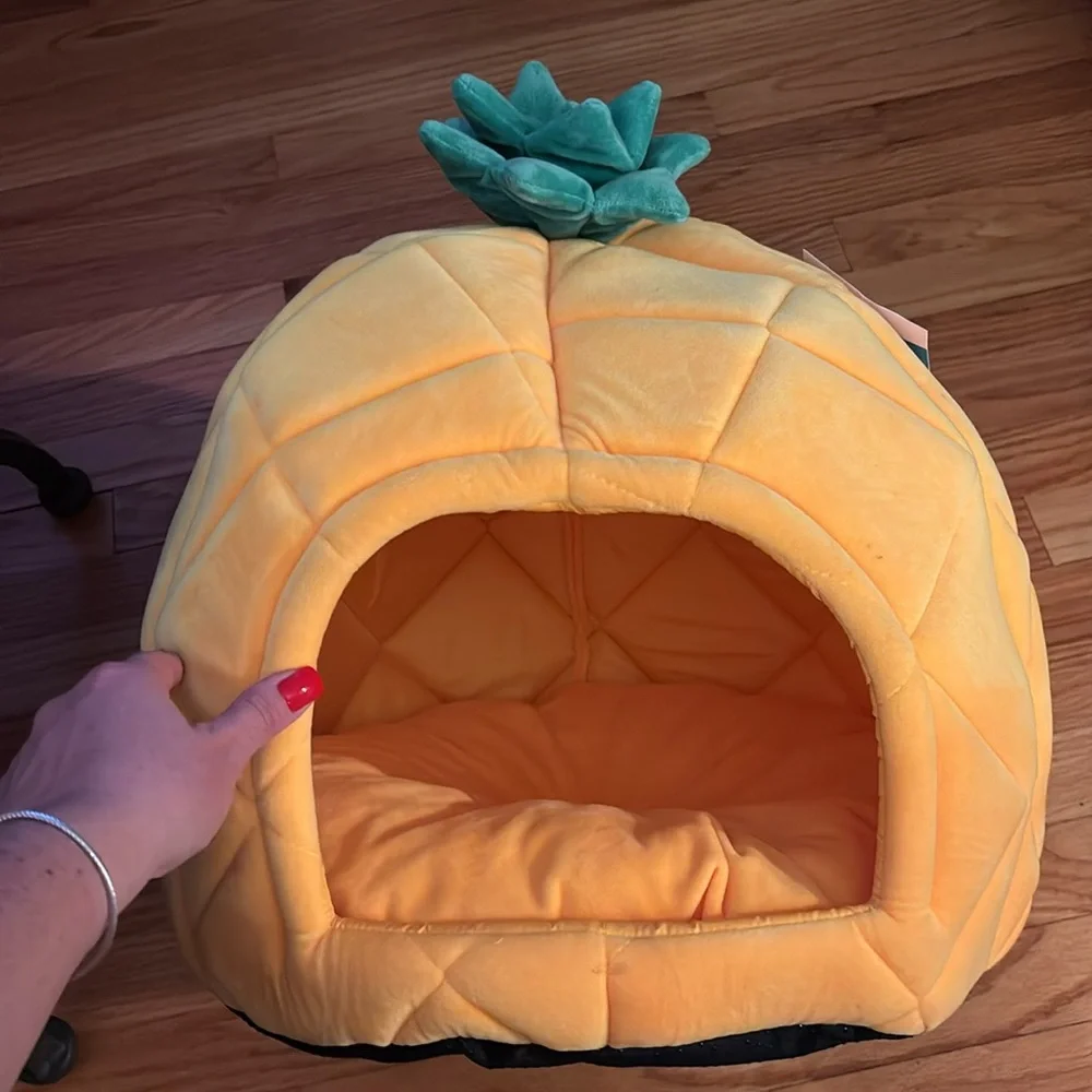 Pineapple pet bed